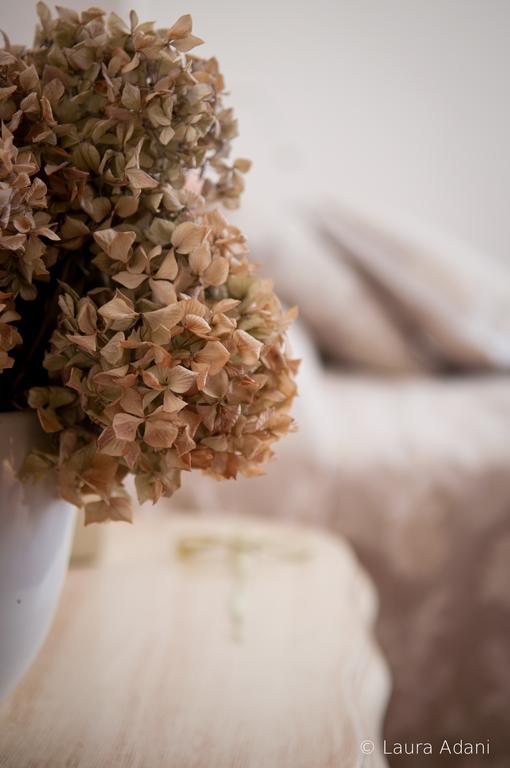 B&B Il Cuore Massa  Chambre photo