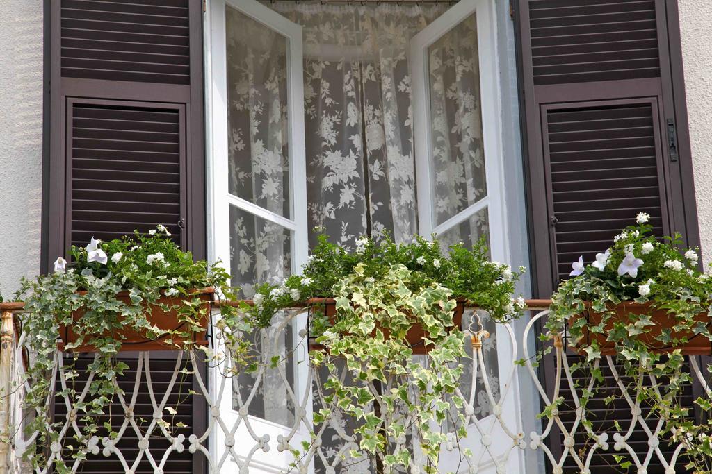 B&B Il Cuore Massa  Extérieur photo